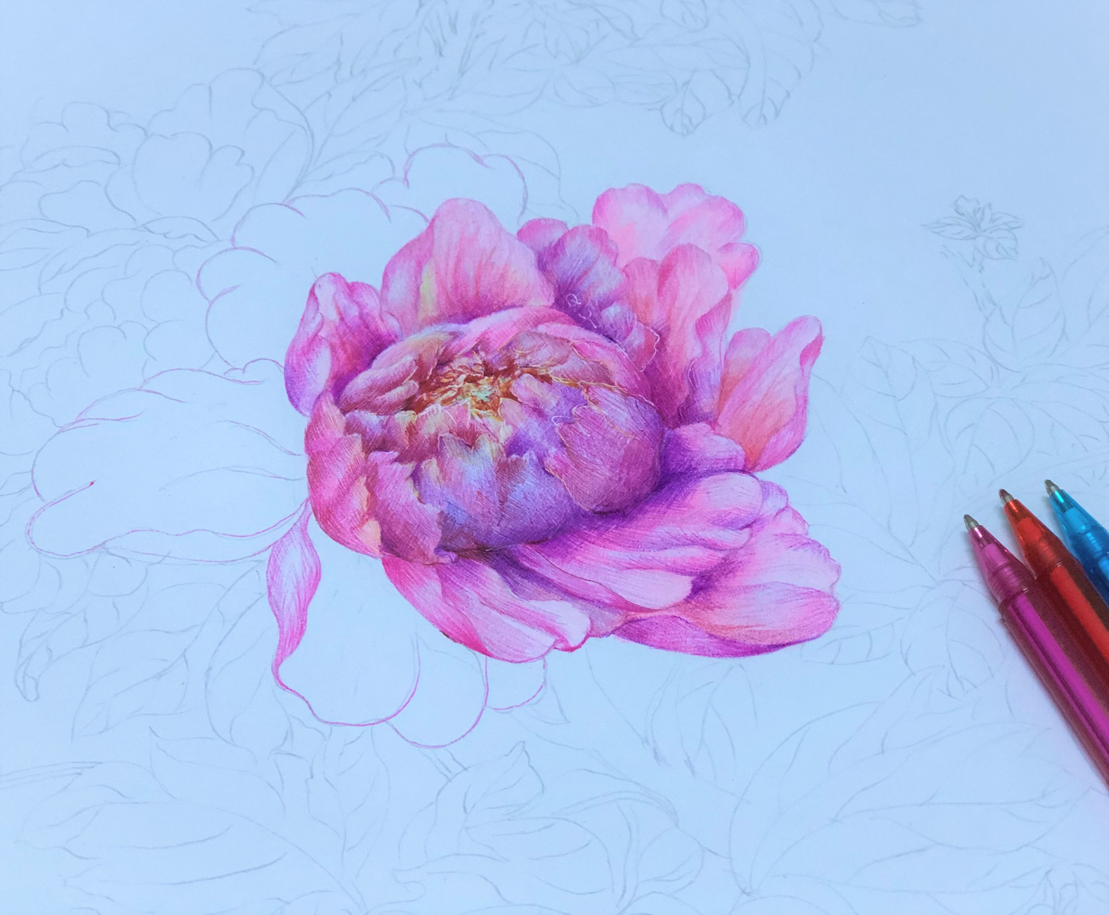 圆珠笔画牡丹教学,圆珠笔画牡丹的画法