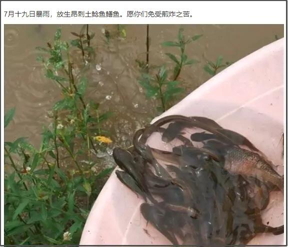 贴吧里的奇葩帖子,贴吧奇葩问题