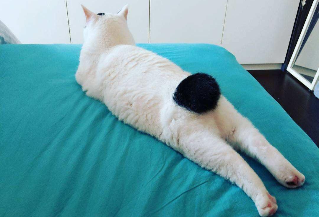 全身捂得严严实实,屁股后面皮肤突然变黑是怎么回事