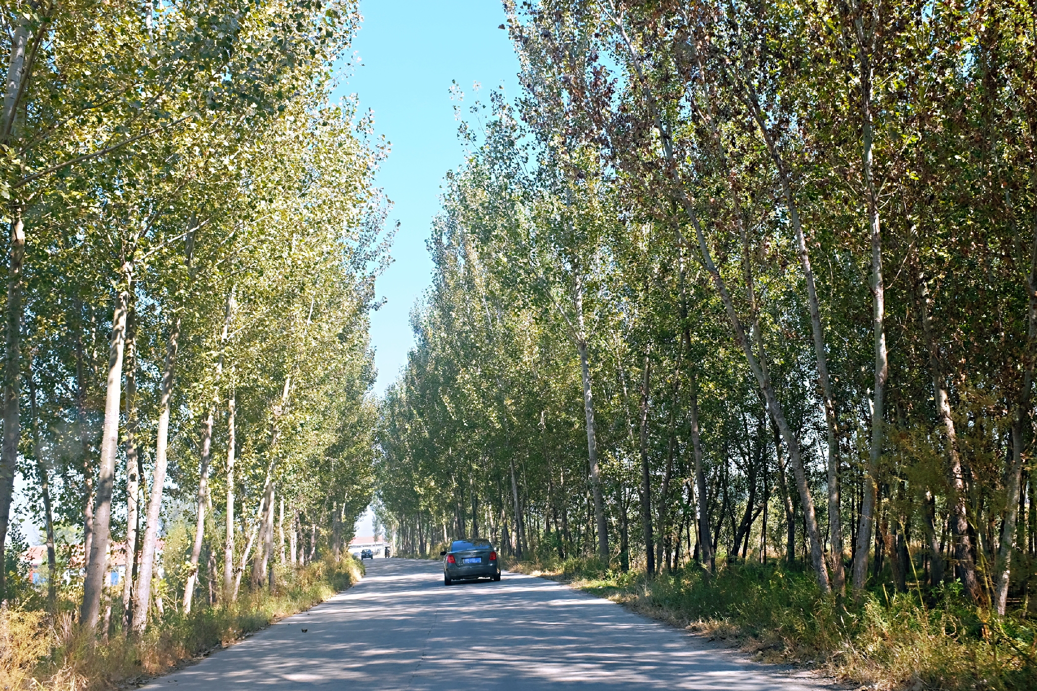 玉田净觉寺景点,唐山净觉寺三大奇观