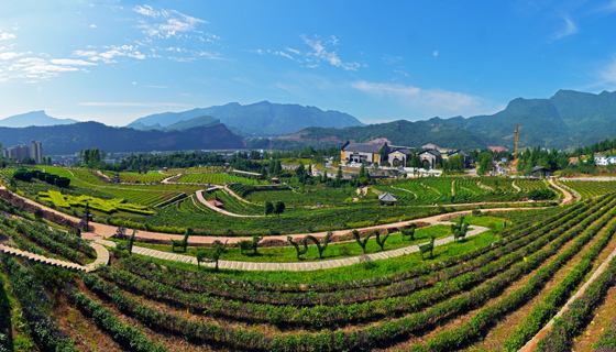 雨城名字由来,雨城区乡镇区划调整方案