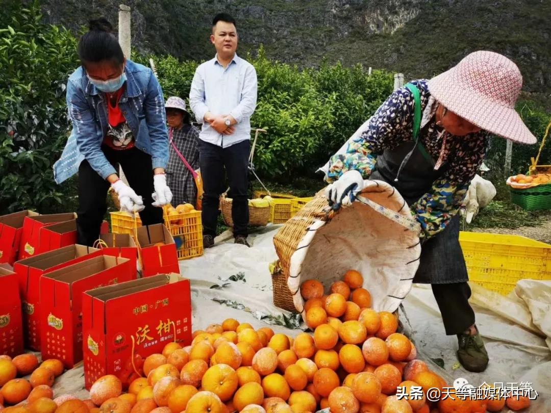 天等抢劫,天等抢钱案