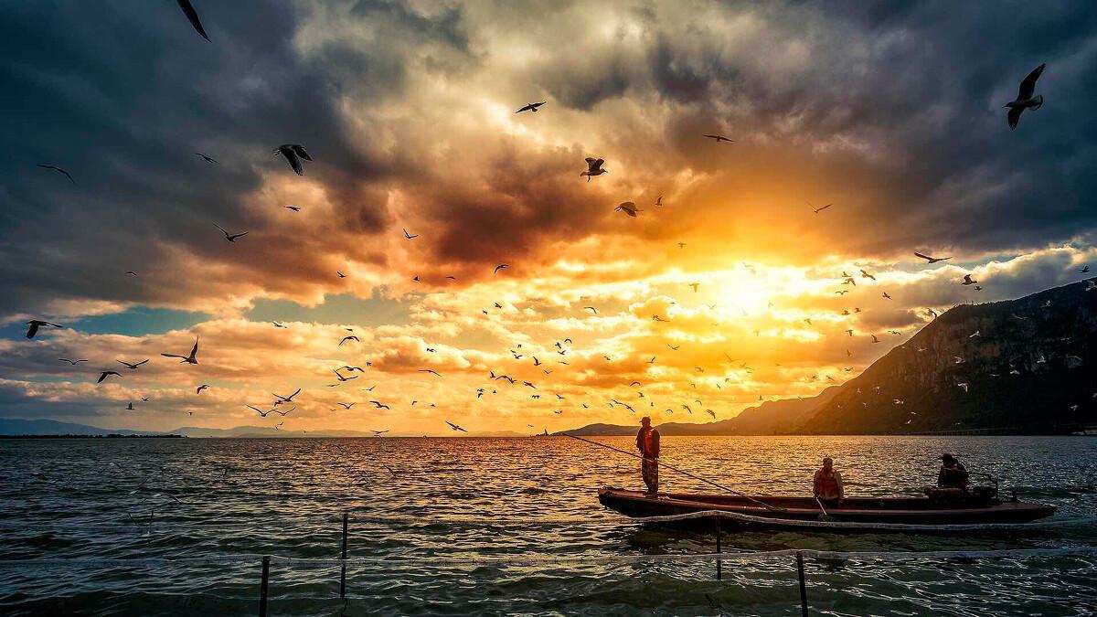 曾经大肆入侵的水葫芦,水葫芦有多可怕