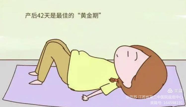 盆底康复要不要做,妇女盆底康复视频