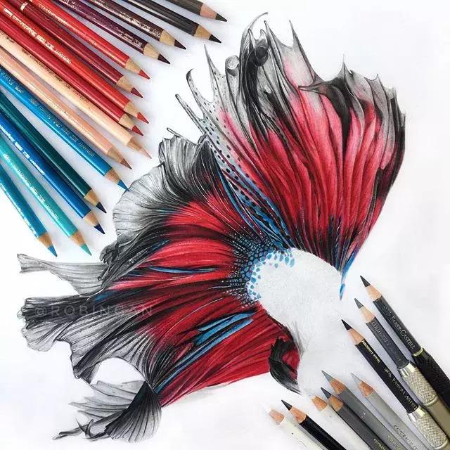 彩铅如何画得非常细腻,彩铅画的很好看零基础