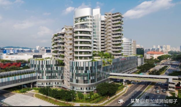 1人传染18人？新加坡35个患者带病上班，最新确诊50人行踪大曝光