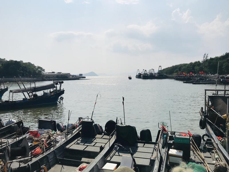 深汕高速公路鲘门服务区下一站,深汕服务区离鲘门服务区有多远