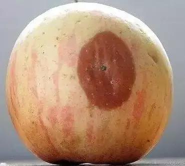 水果坏了割掉烂的地方还能吃吗,坏水果削掉一半还能吃吗