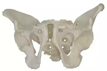 第三次做骨盆调理,稳定骨盆最简单的办法