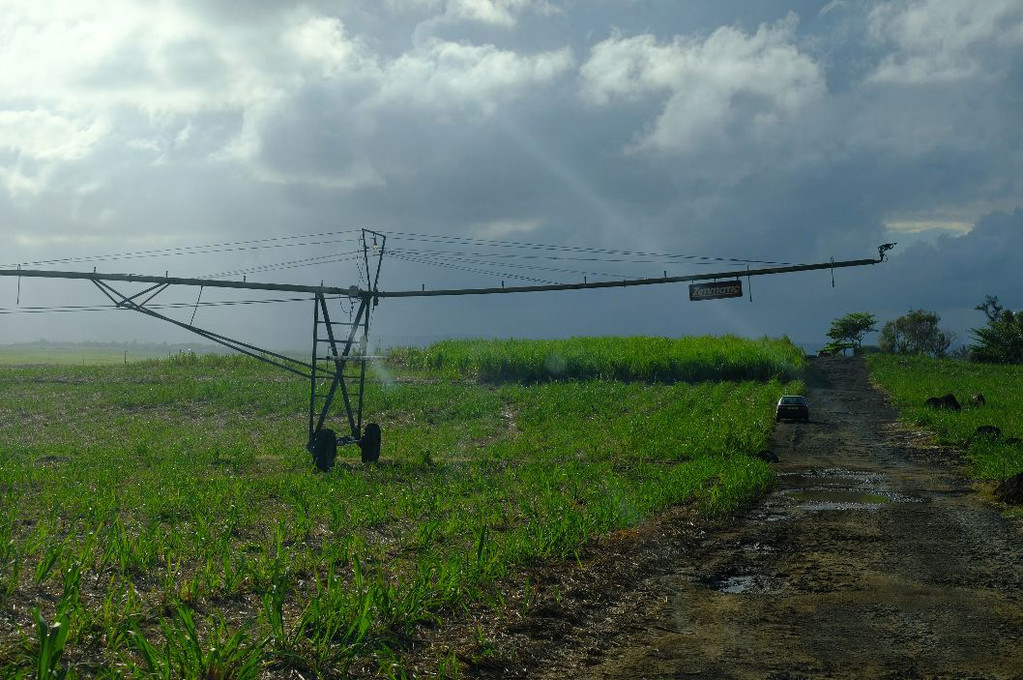 毛里求斯陈小春,毛里求斯马克吐温