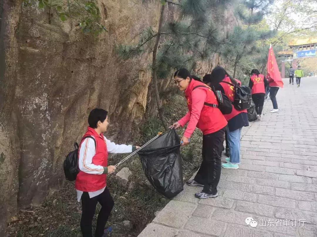 这一年收获颇丰,这一年收获了太多的温暖与感动