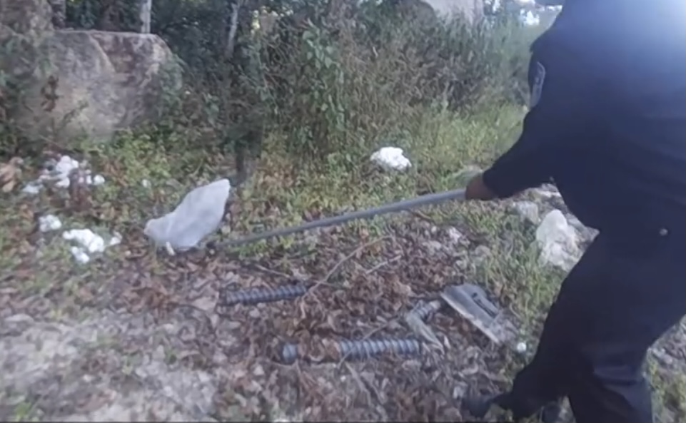 3米长眼镜王蛇爬进农户家中,2.4米眼镜王蛇闯入村民家纳凉