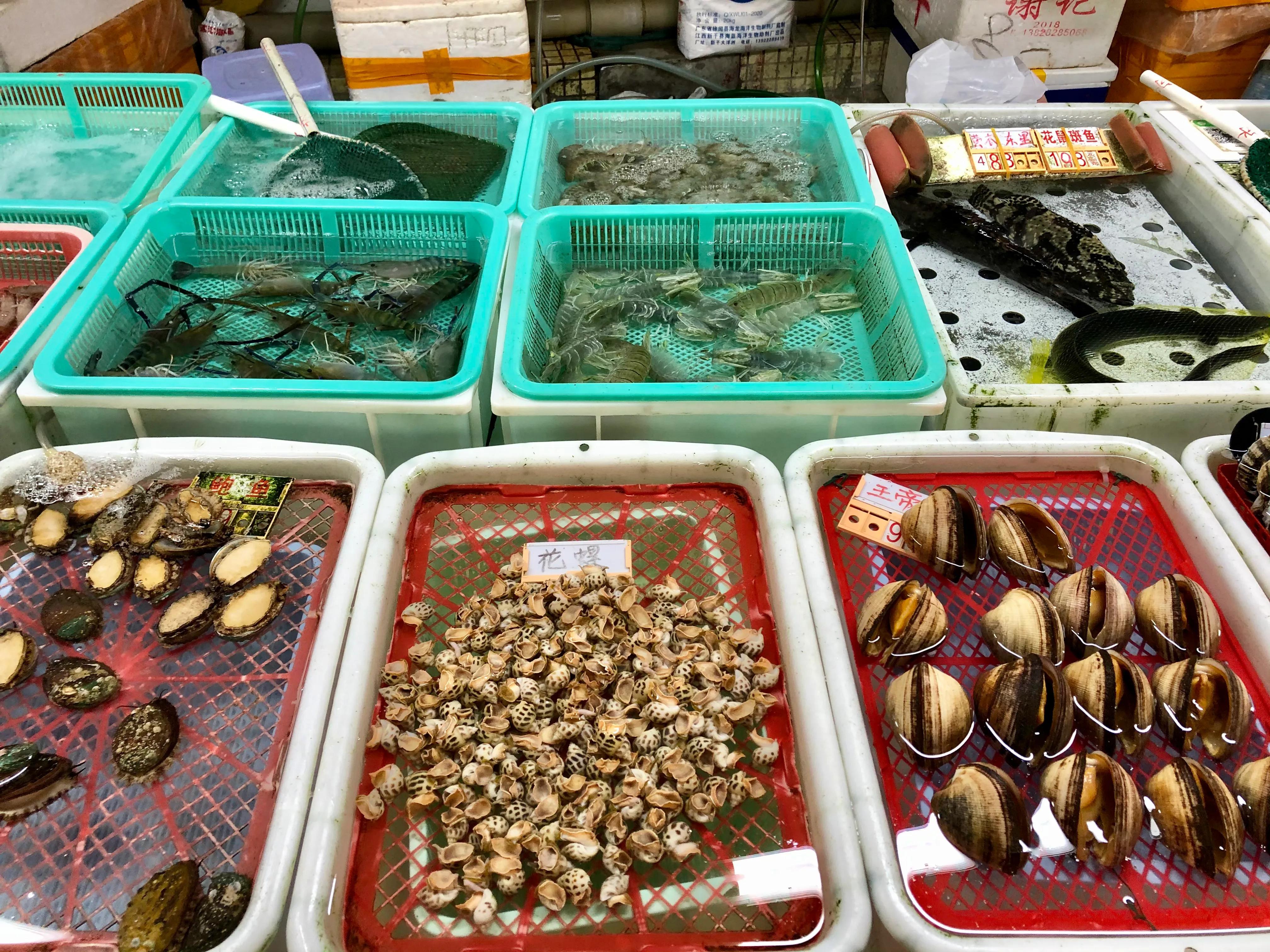 珠海湾仔码头海鲜市场价格,珠海湾仔海鲜街买海鲜攻略