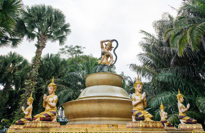 西双版纳泼水节野象谷,西双版纳旅游野象谷全攻略