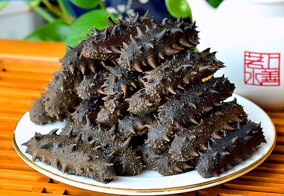 现在的干海参多少钱一斤,一般干海参价格多少钱一斤