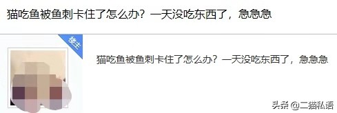 猫吃鱼刺卡在喉咙会不会自己好,田园猫吃鱼会被鱼刺卡住吗