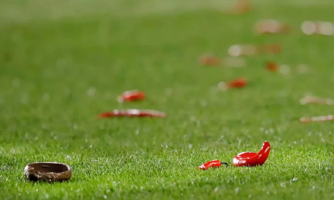 辣椒大葱西红柿芹菜,辣椒大葱西红柿洋葱