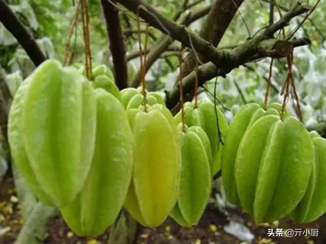 三亚有什么特产带回家送礼的,在三亚有哪些好吃的特产