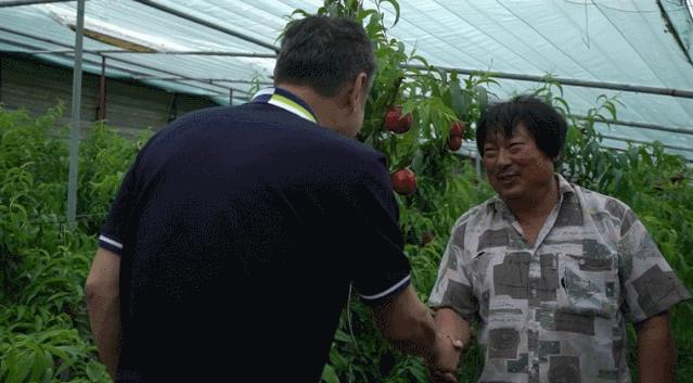 大连第一书记的故事,大连小康故事