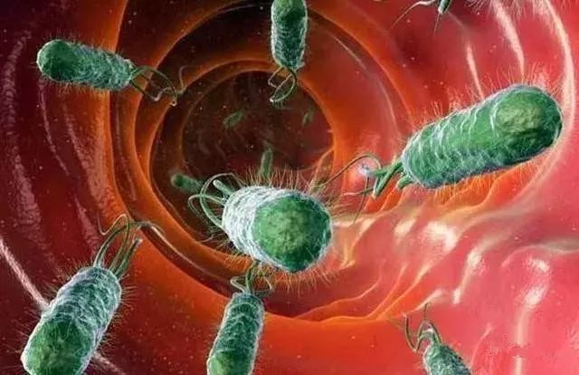 慢性萎缩性胃炎c2期可怕吗,再谈萎缩性胃炎的治疗步骤