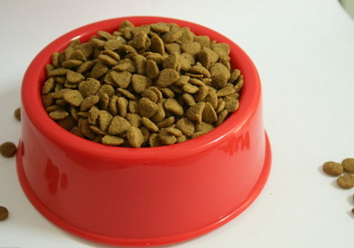 新手养狗狗不吃饭,狗狗幼犬期怎么喂养