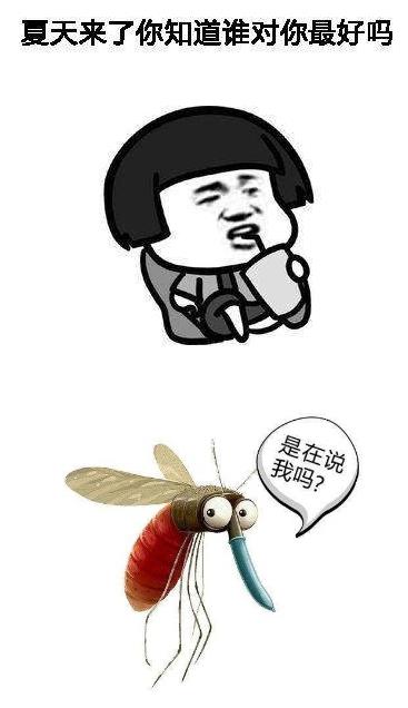 东莞董大炜|夏季防蚊大作战，请收下这款纱窗