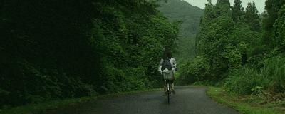 巴慕达风扇扇叶,巴慕达中国版多少钱