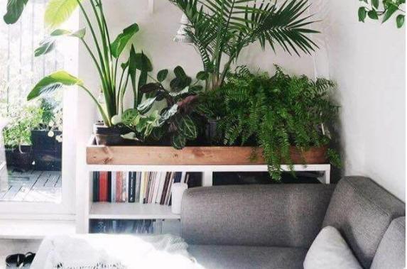 家里门对着卫生间门怎么化解,卫生间对正门化解方法