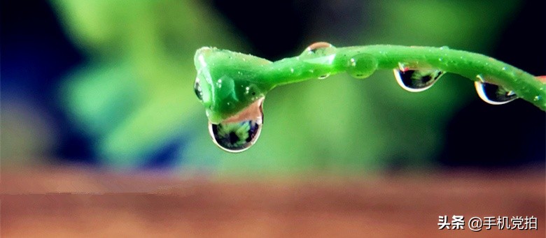 教你宅家拍氛围感大片有手就行,宅家就能轻松拍大片