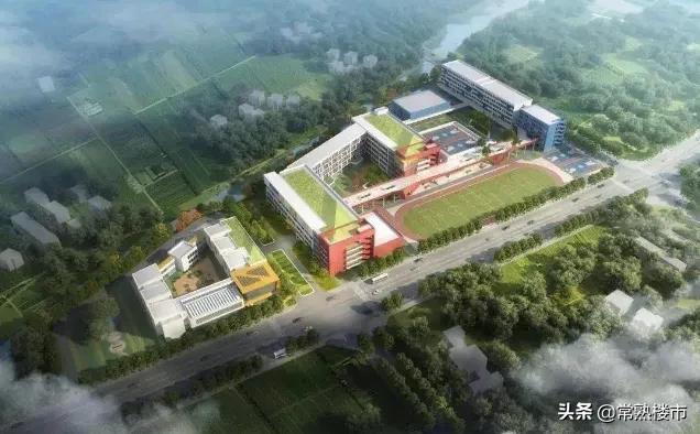 毫不夸张！国际医疗+酒店+学校，这才是南部新城的爆点