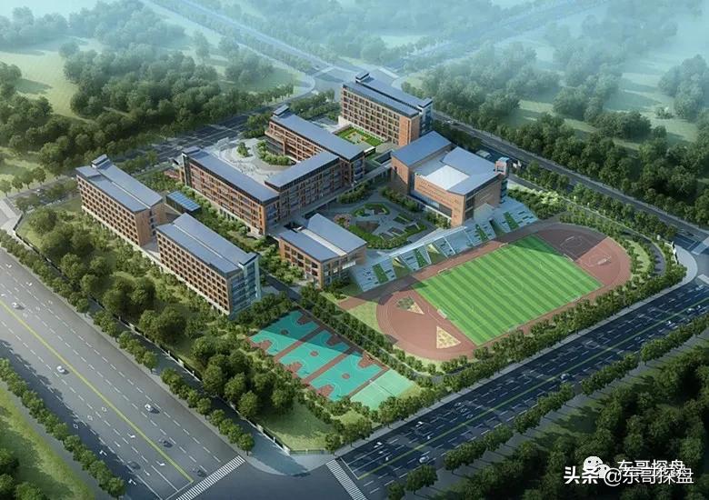 河南省实验小学白沙校区,河南省实验中学白沙2022招生
