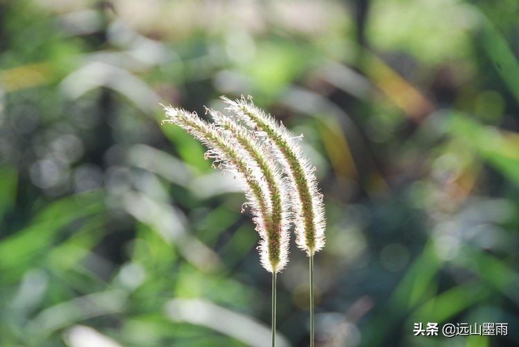 昆明嘉丽泽旅游景区,昆明嘉丽泽湿地露营