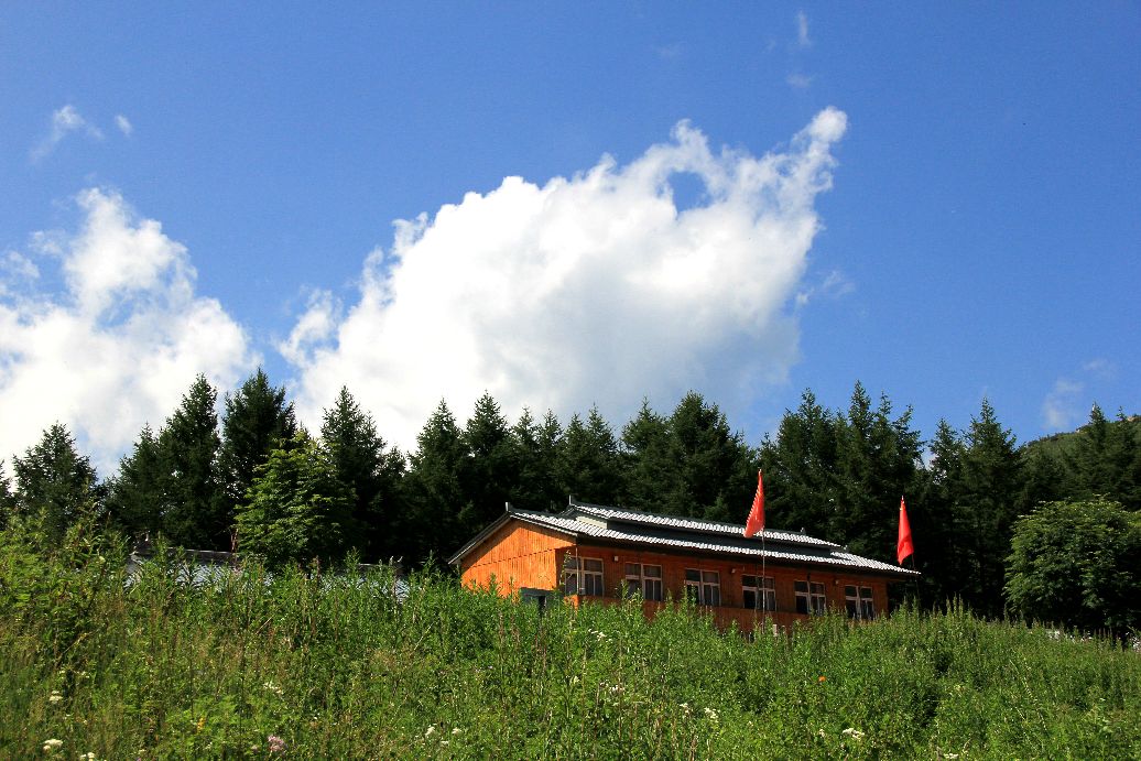 驼梁一日游日记,五台县南驼梁游记