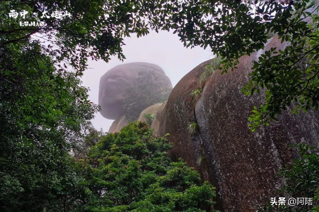 雨中爬太姥山,雨中登太姥山