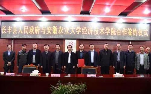 再见合肥音乐,曾经的合肥北城