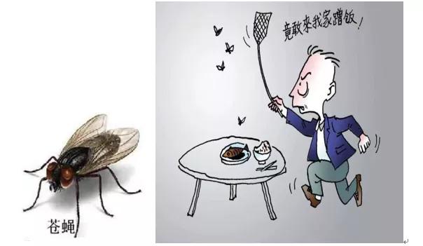 天气热如何灭蚊虫幼虫,夏季怎么消杀去蚊子