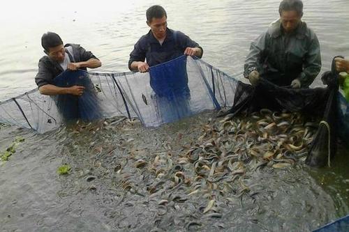 益气健脾养阴生津的食物,补中益气滋阴食物