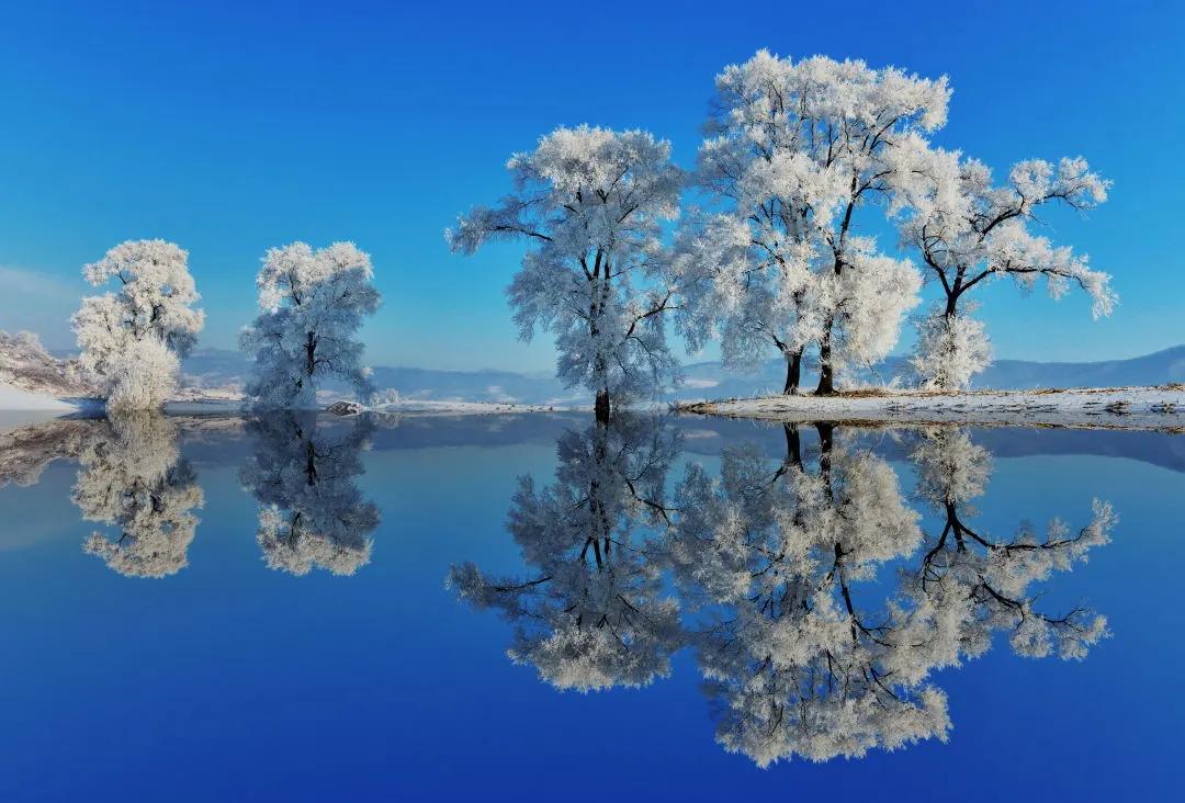 京哈高铁来了！3小时54分长春至北京！