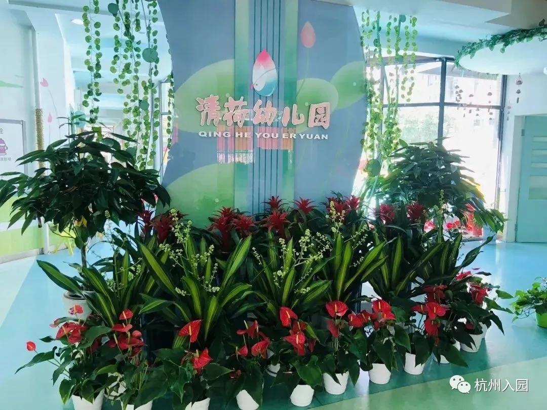 杭州民办幼儿园推荐,杭州民办幼儿园最贵收费top10