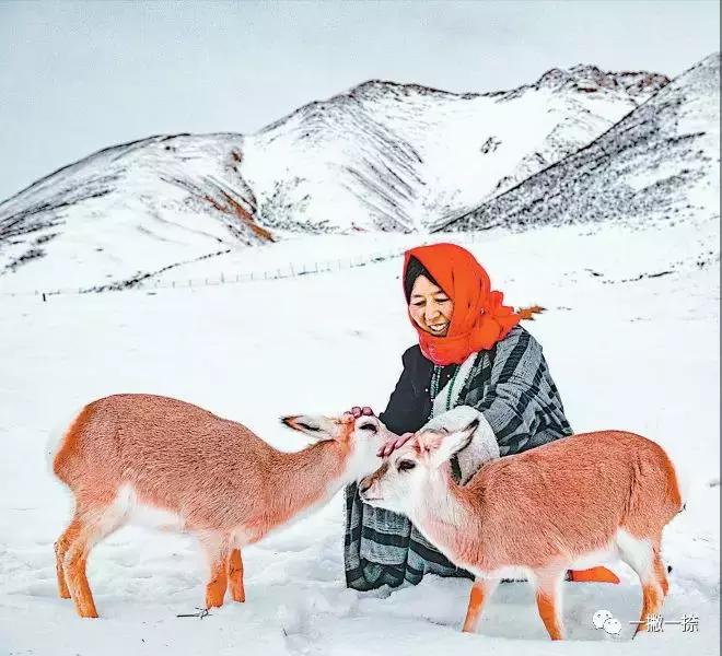 人民日报最惊艳的图片,人民日报最美照片