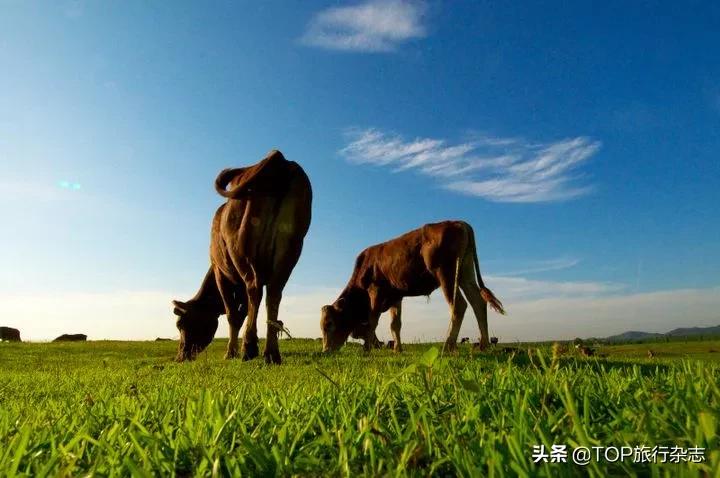 原来长沙隐藏了这14个人少景美的江心洲！不出城就能感受“海岛风情”，有些可以追溯到五代十国……