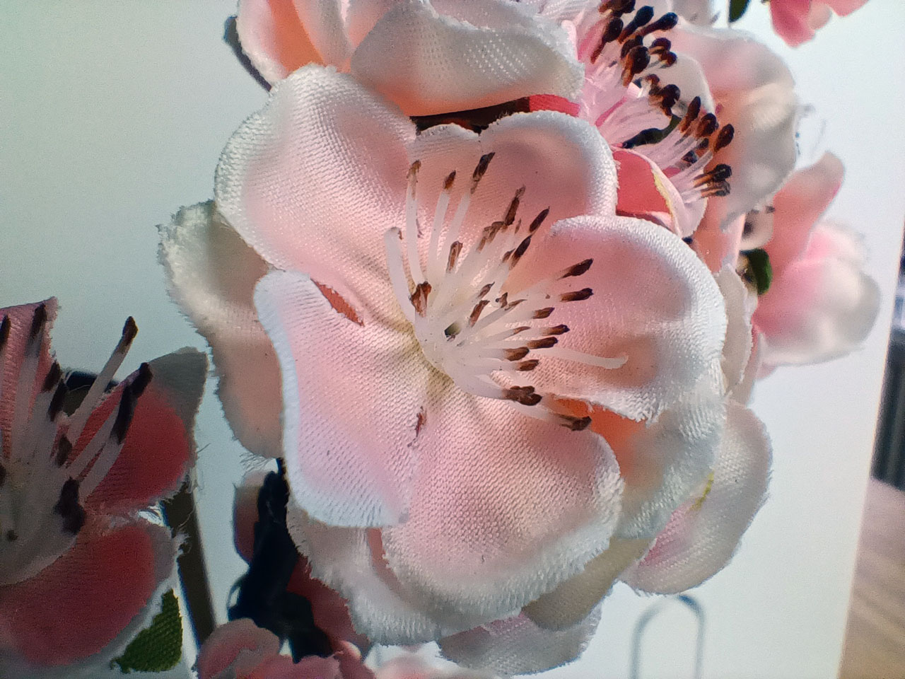 5g的oppoa53新款好吗,5g网的千元机oppoa53