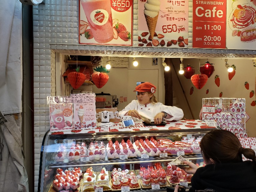 如果你今生只想去一次日本，千万别跟我一样，报这样的旅行团五