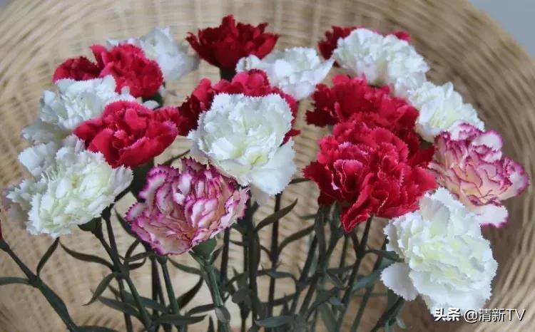 奇葩礼物和浪漫礼物,奇葩礼物和浪漫礼物的对比