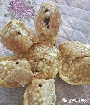 在网上买水果有哪些坑,在网上买水果划算吗