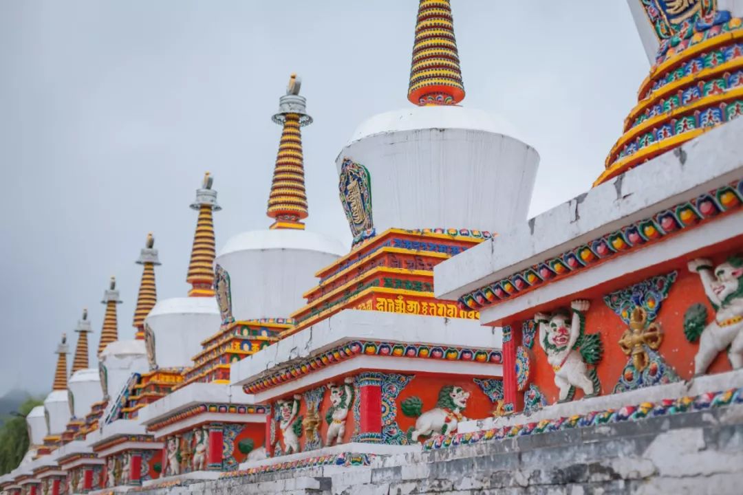 只要你面朝青海湖，八月依旧春暖花开