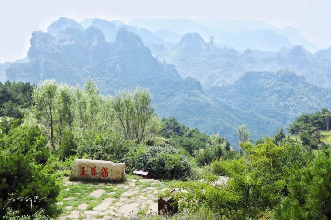 鐪嬫墦閾佽姳,浣犱滑鐪嬭繃鎵撻搧鑺卞悧