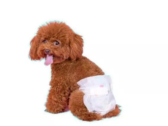 这五种情况下不能洗澡,这6种情况不建议立刻洗澡