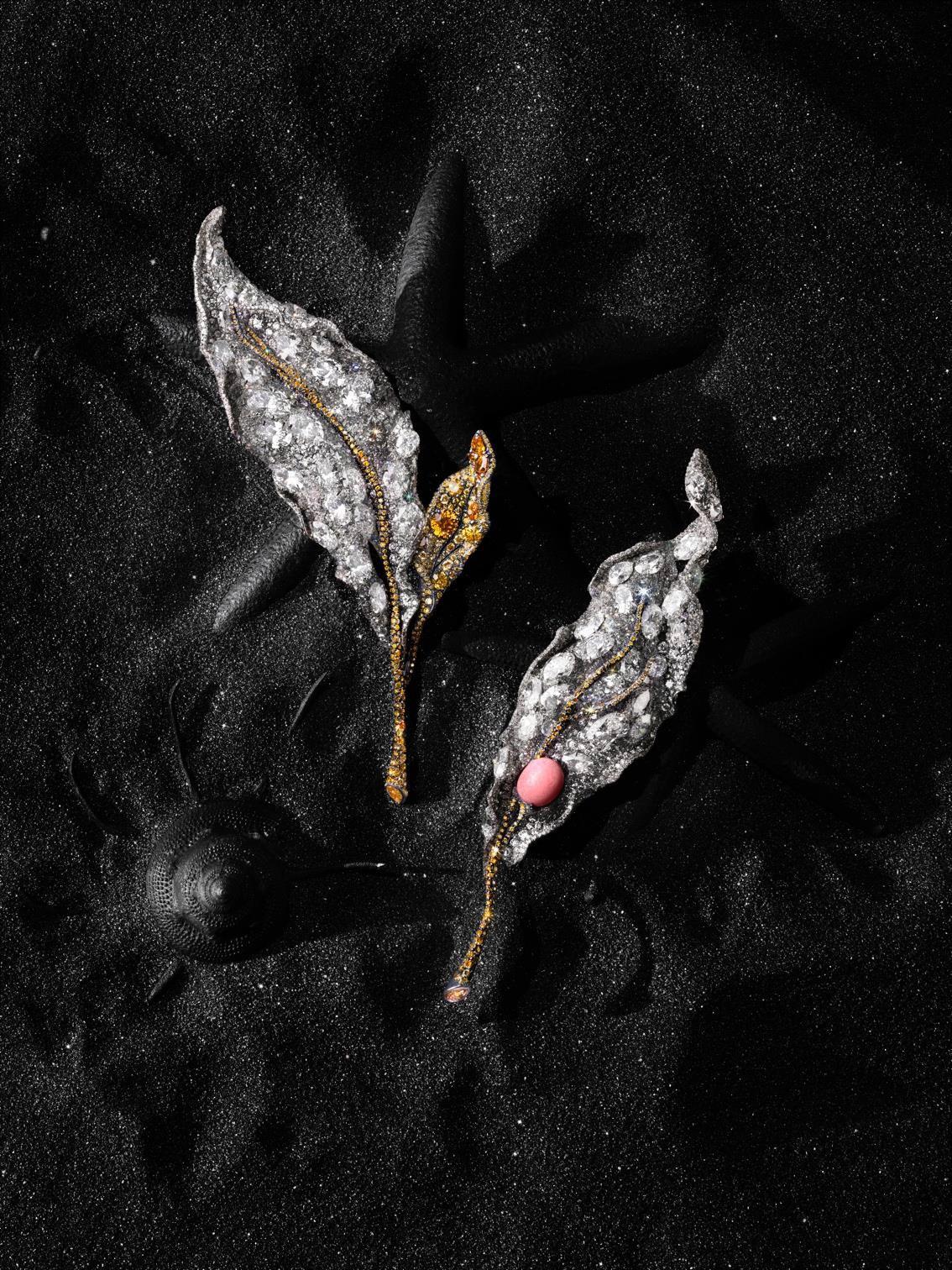 孔克珠是不是珍珠,孔克珠珍稀品种