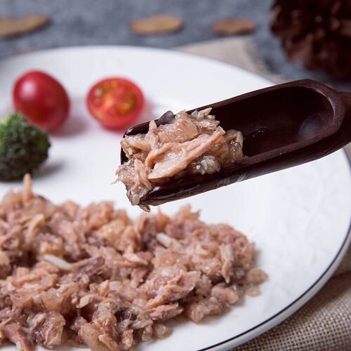 猫肾衰和磷元素摄入的关系是什么？又该如何限制磷元素？教你3点